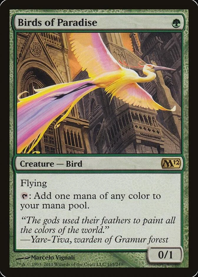 Birds of Paradise [M12]