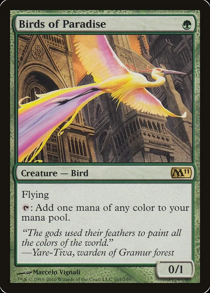 Birds of Paradise [M11]