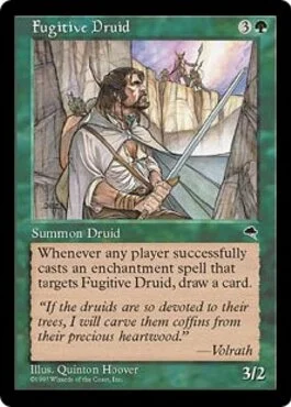 Fugitive Druid