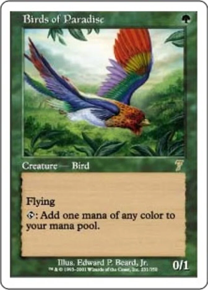 Birds of Paradise [7E]