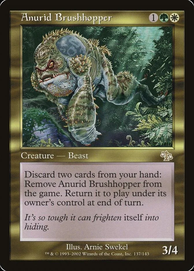 Anurid Brushhopper [JUD]