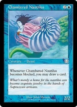 Chambered Nautilus
