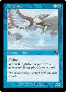 Kingfisher