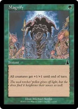 Magnify