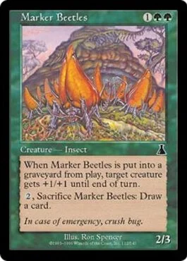 Marker Beetles