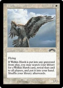 Welkin Hawk