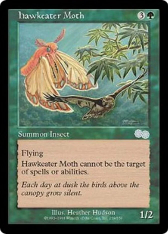 Hawkeater Moth [UZ]