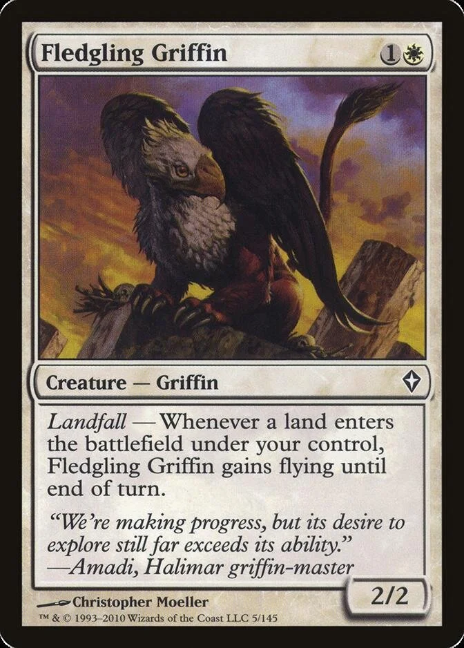 Fledgling Griffin [WWK]