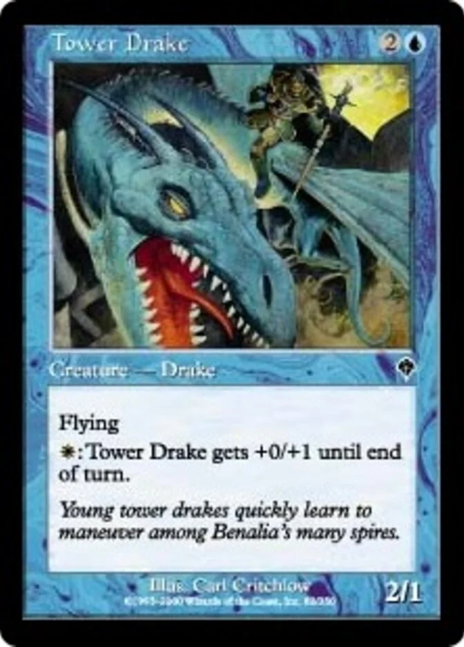Tower Drake [IN]