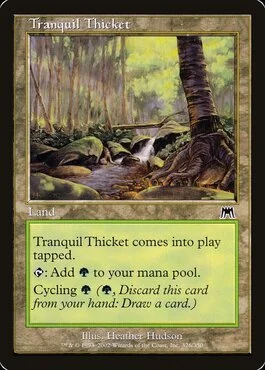 Tranquil Thicket