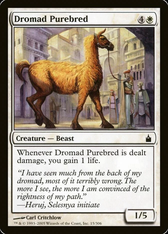 Dromad Purebred [RAV]