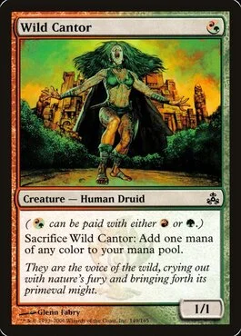 Wild Cantor
