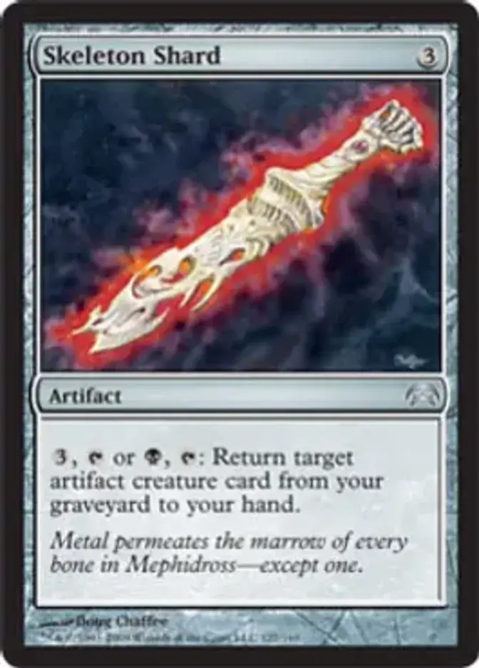 Skeleton Shard [PC1]