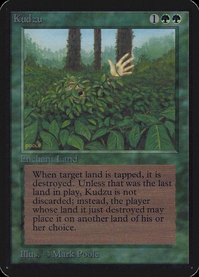 Kudzu [LEA]
