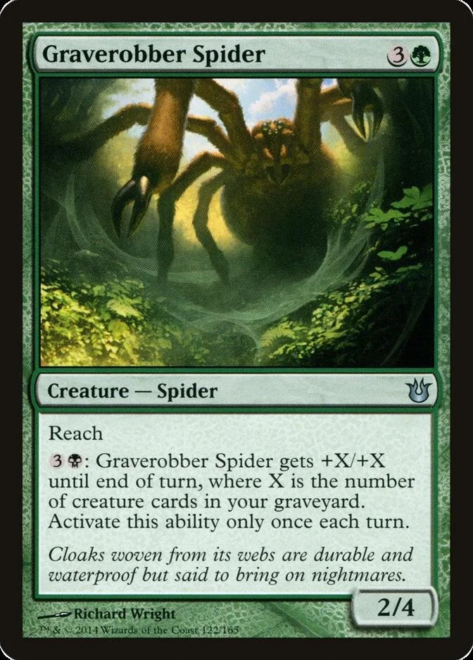 Graverobber Spider [BNG]