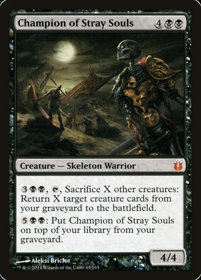Champion of Stray Souls [BNG]