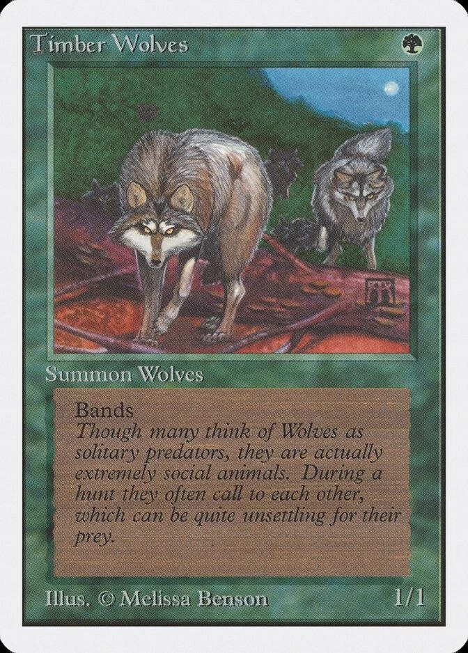 Timber Wolves [2ED]