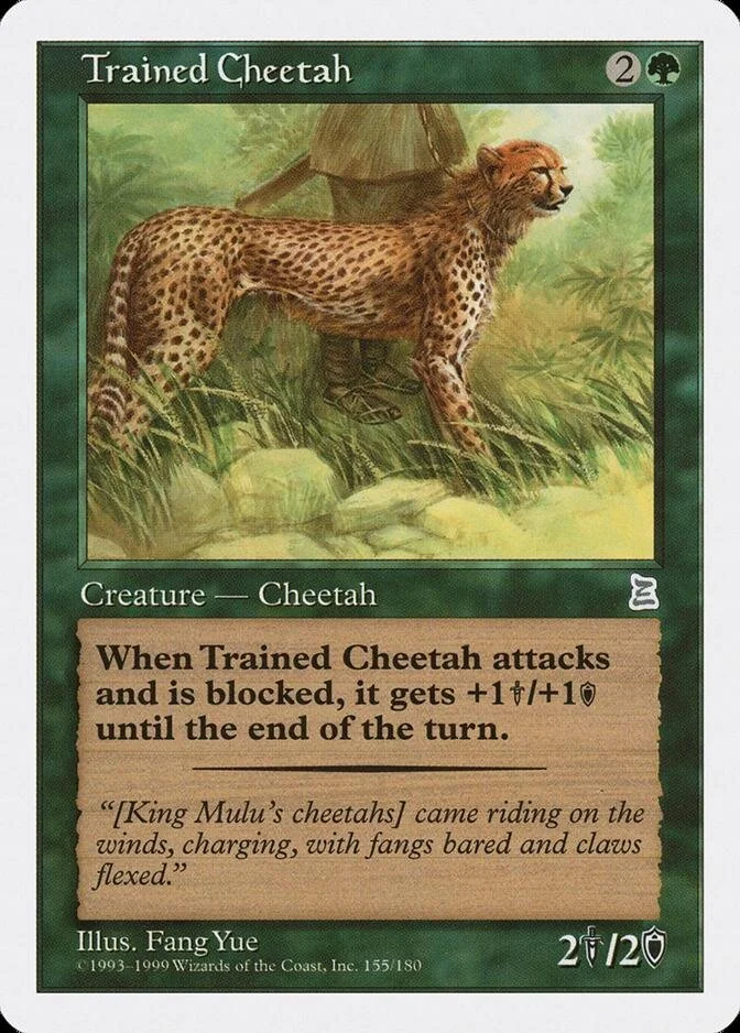 Trained Cheetah [PTK]