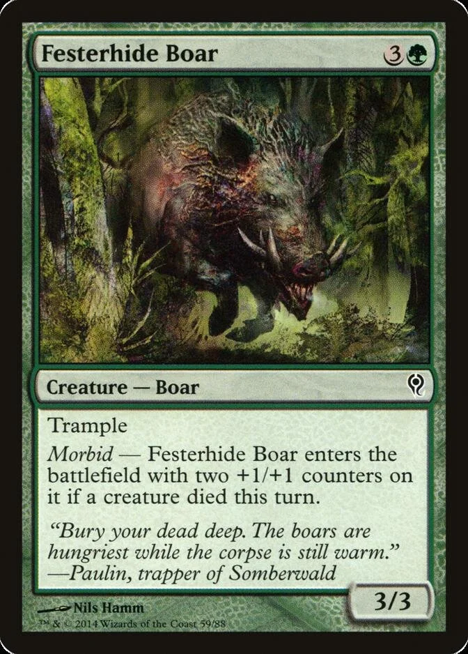 Festerhide Boar [DDM]