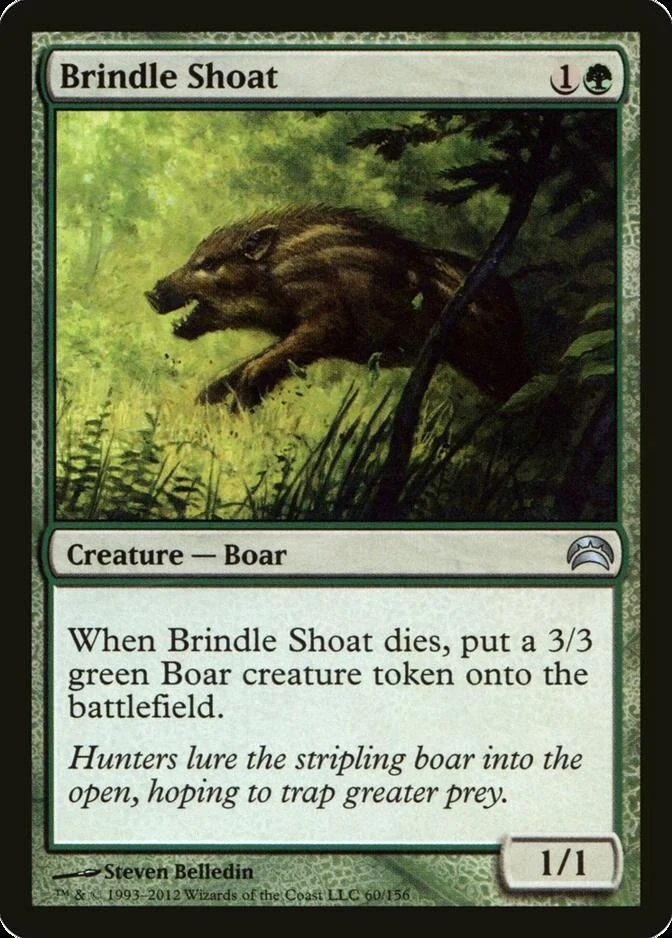 Brindle Shoat [PC2]