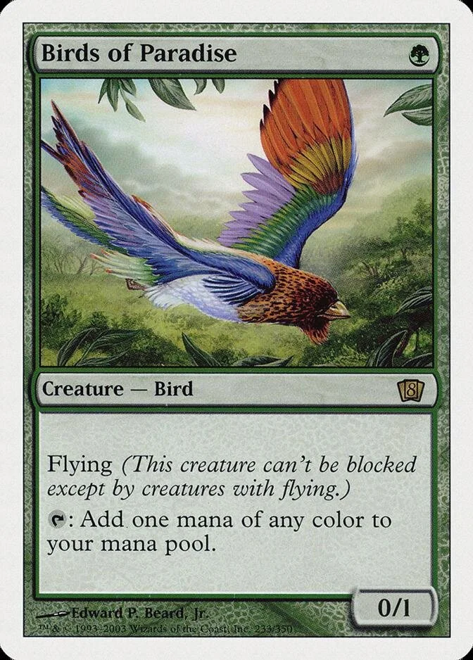 Birds of Paradise [8ED] (F)