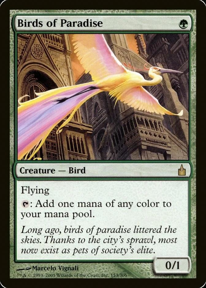 Birds of Paradise [RAV] (F)