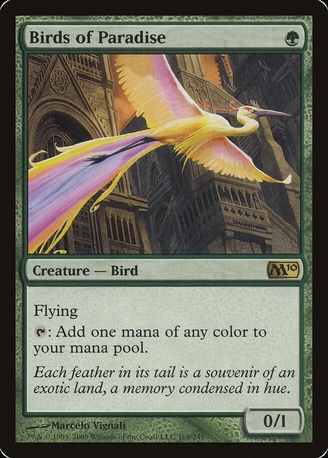 Birds of Paradise [M10] (F)