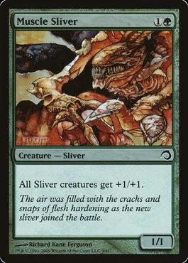 Muscle Sliver