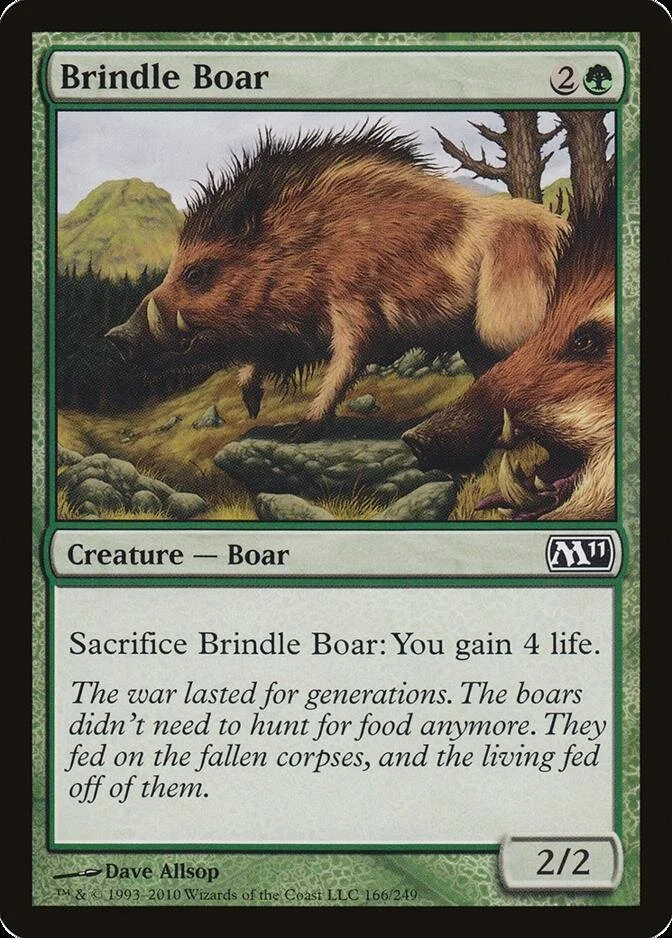 Brindle Boar [M11] (F)