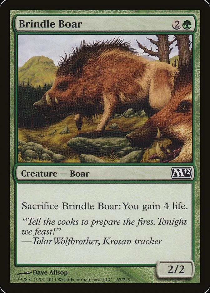 Brindle Boar [M12] (F)
