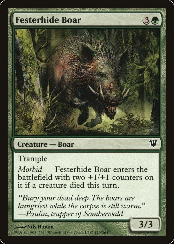 Festerhide Boar [ISD] (F)