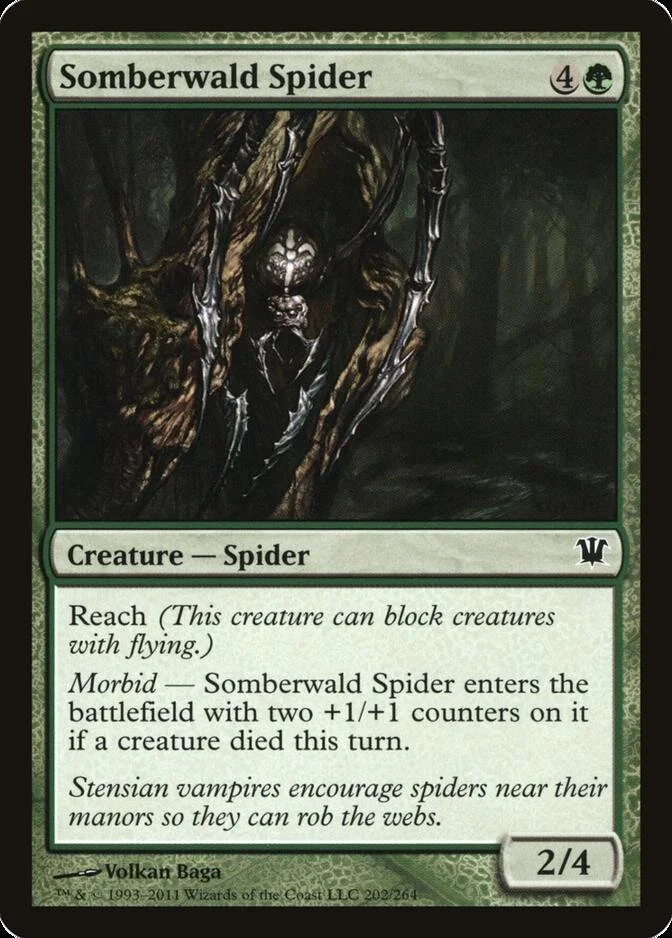Somberwald Spider [ISD] (F)