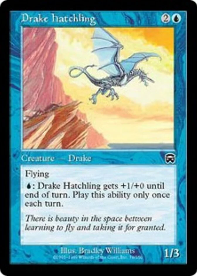 Drake Hatchling [MM] (F)