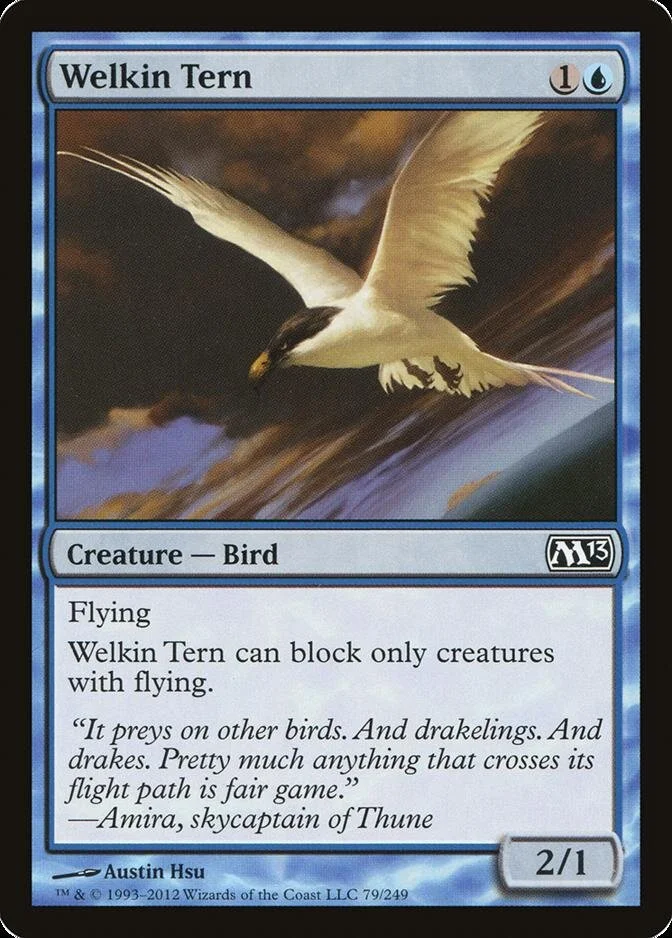 Welkin Tern [M13] (F)