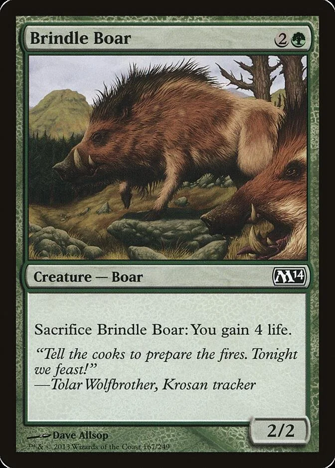 Brindle Boar [M14] (F)