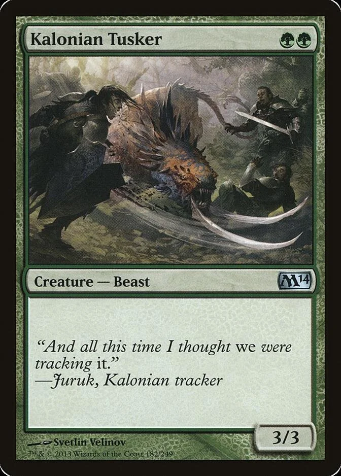 Kalonian Tusker [M14] (F)