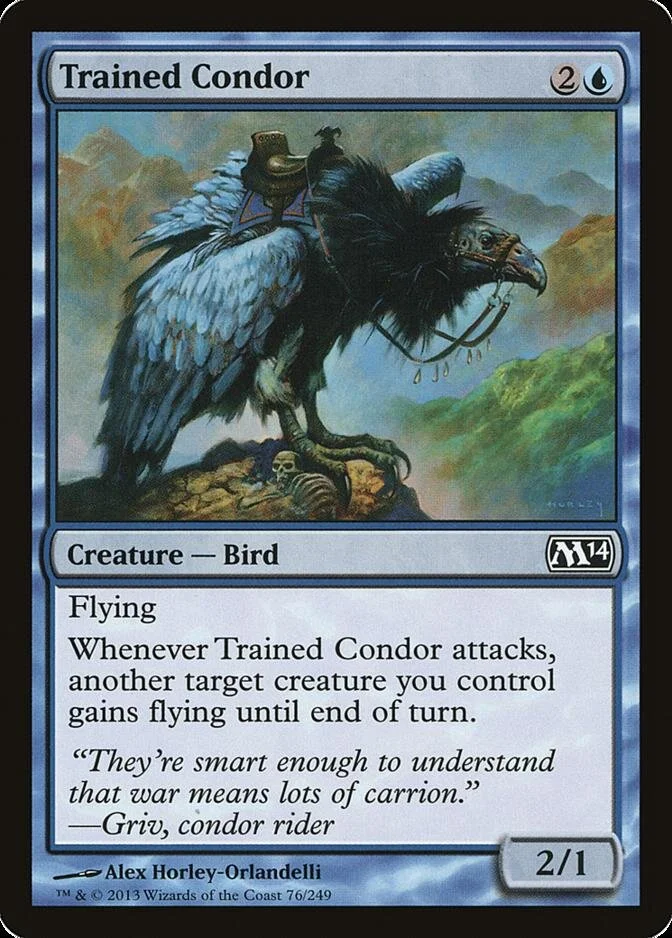 Trained Condor [M14] (F)