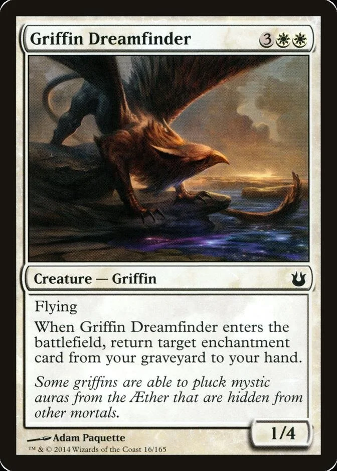 Griffin Dreamfinder [BNG] (F)