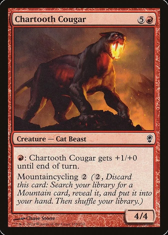 Chartooth Cougar [CNS] (F)
