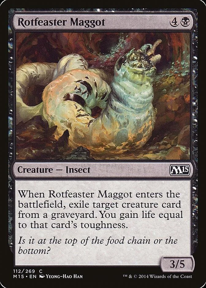 Rotfeaster Maggot [M15] (F)