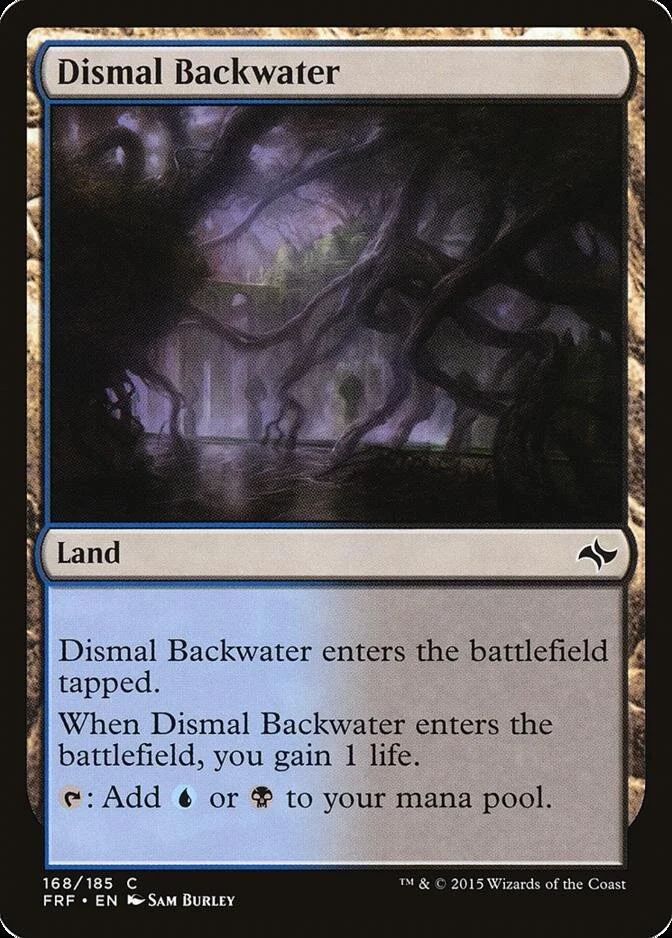 Dismal Backwater [FRF]