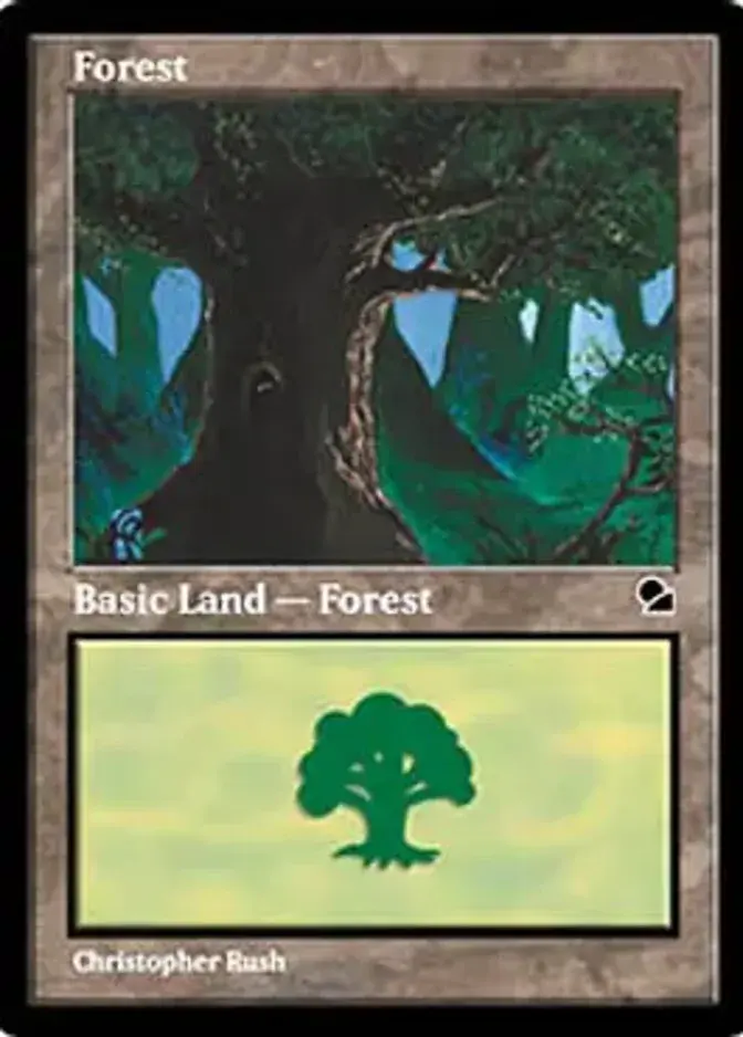 Forest [MED] (F)