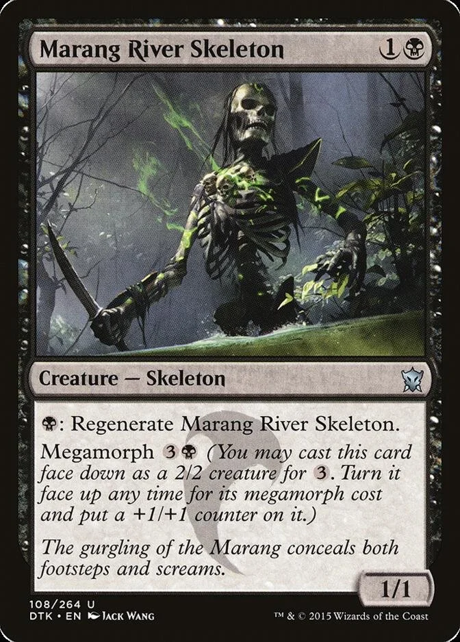 Marang River Skeleton [DTK]