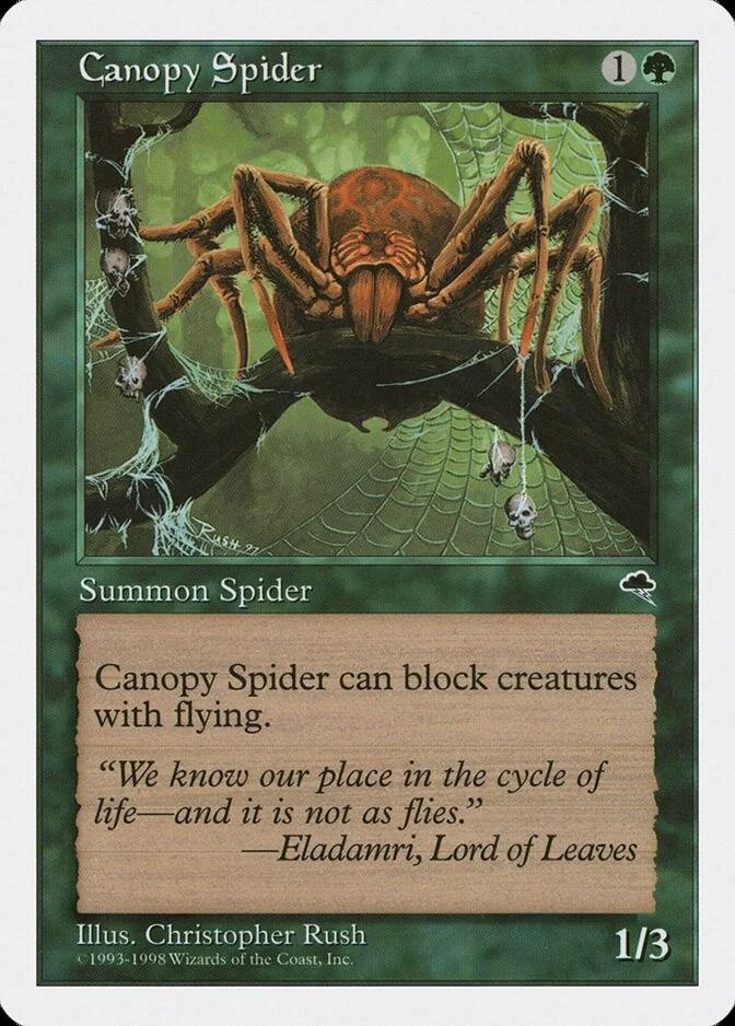 Canopy Spider [ATH]