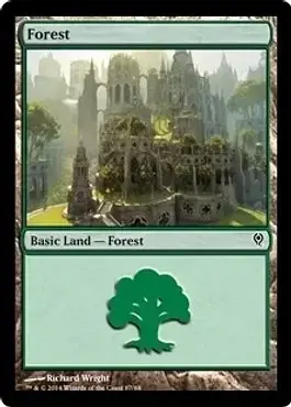 Forest