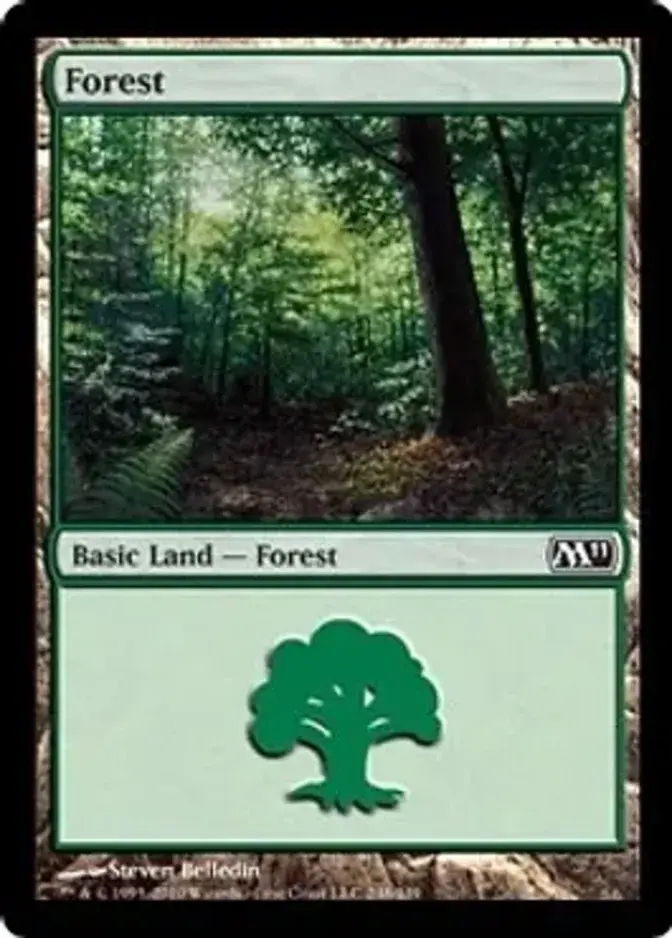 Forest <248> [M11]