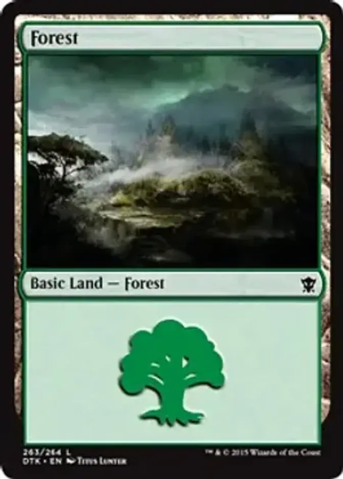 Forest <263> [DTK]