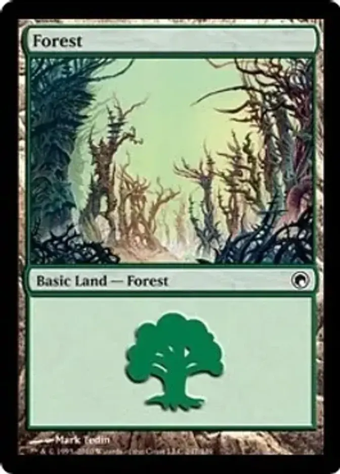 Forest <247> [SOM]