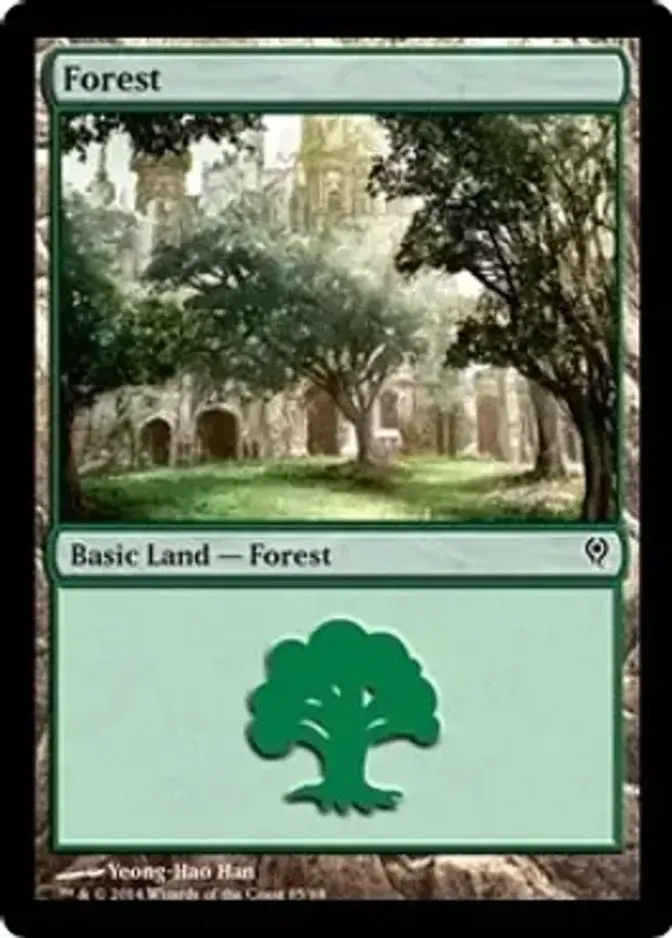 Forest <85> [DDM]