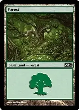Forest